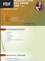 ENFERMEDADES POR BACTERIAS GRAM NEGATIVAS (No Enterobacterias)