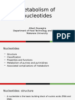 Metabolism of nucleotides