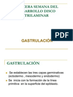 Tercera A Octava Semana Del Desarrollo Embrionario