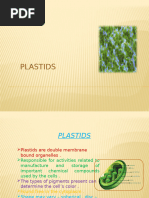 PLastids New and Upgraded Whole Formating