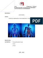 Aparato Reproductor Femenino - Docx Anatomia Final