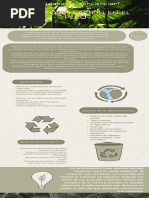 Infografía Medio Ambiente Minimalista Verde