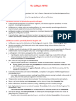 Cell Cycle and Checkpoints