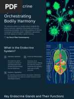 The Endocrine System Orchestrating Bodily Harmony