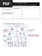 TP 3 Anomalie Meiose Trisomie Multigenique Eleve Et Correction