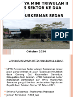 Lintor TW 2 PKM Sedar