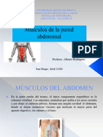 Musculos de La Region Abdominal