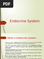 Endocrine System