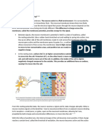 Biopsychology Final Notları