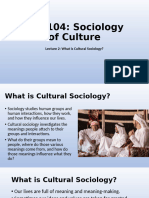 Lecture 2 - What Is Cultural Sociology