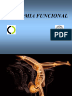 01. OSTEOLOGIA-Membro Superior