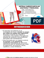 Sistema Cardiovascular Damaris Ramirez y