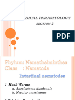 Parasitology 2 (24-25)