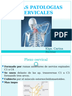 Otras Patologías Cervicales