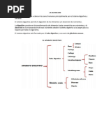 Nutricion Sistema Digestivo