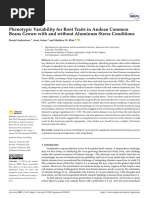 Phenotypic Variability For Root Traits in Andean Common Beans Grown With and Without Aluminum Stress Conditions