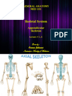 Lecture # 5, 6 - Appendicular Skeleton