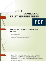 Lesson 4 Sources of Fruit Bearing Trees Agri