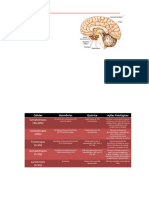 RESUMO FISIOLOGIA - Sistema Endocrino