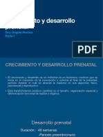 Clase de Desarrollo Prenatal