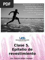 Clase+05 +Tejido+Epitelial+de+Revestimiento