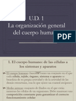 Unidad 1. La Organización General Del Cuerpo Humano