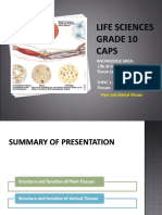 PP7 Plant and Animal Tissues Grade 10 v2 1460384689