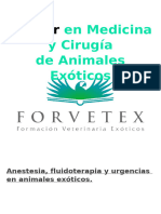 aNESTESIA Y FLUIDOTERAPIA EXOTICOS