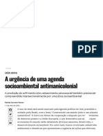 A Urgência de Uma Agenda Socioambiental Antimanicolonial