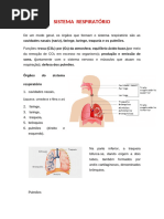 Bio - Urinario, Cardio, Respiratório