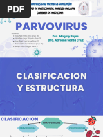 Parvo Virus