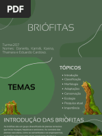 Briófitas 20240626 170843 0000