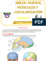 Anatomía Humana-Unidad Ii-C.d Fiorella Aranda Milla