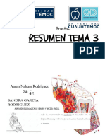 Anatomia Radiologica de Craneo y Maciso Facial