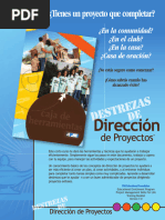 Destrezas de Direccion de Proyectos