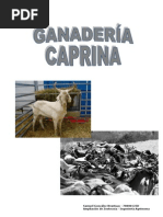 Ganadería Caprina