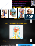 Sistema Nervioso Central