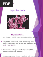 Acid Fast Bacilli (Mycobacterium Tuberculosis)