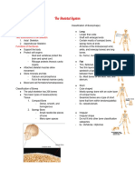 Skeletal System