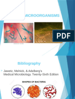 13 Spiral Microorganisms