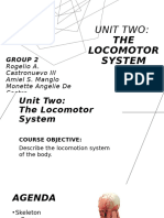 August 24, 2024 - GROUP 2 - The Locomotor System