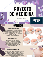 Presentación Proyecto Medicina Hospital Iconos Ilustrado Morado Lila