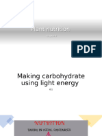 6.1 Making Carbohydrates Using Ligh Energy