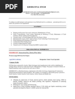 Railway Construction Professional CV