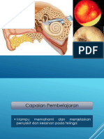 Penyakit dan Kelainan Telinga