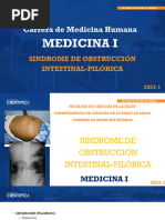 38.Sd. Pilorico-Oclusion Intestinal.