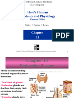 Endocrine System