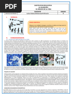 Guia1. Evolucion de La Vida III Periodo