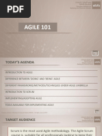 Agile101 EIBFS