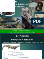 Reptiles 2024 Parte